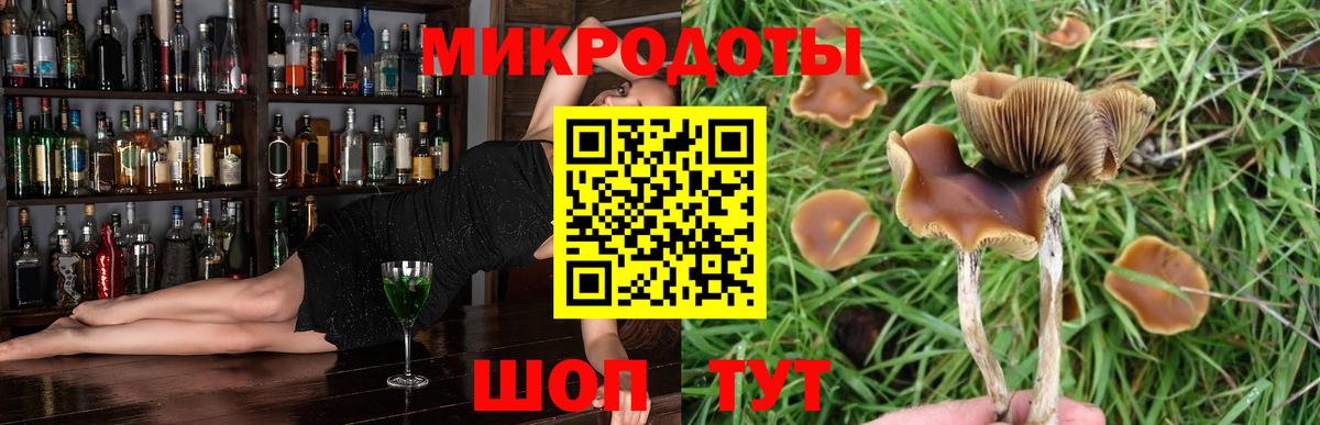 Псилоцибиновые грибы мухоморы  Галлюциногенные грибы MAGIC MUSHROOMS  сколько стоит  Вход с VPN  Пугачёв 